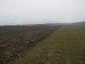 Satılır 700 sot torpaq Şabran