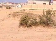 Satılır 40 sot torpaq Pirşağı