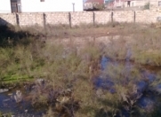 Satılır 3 sot torpaq Ramana