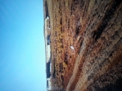 Satılır 15 sot torpaq Mehdiabad