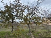 Satılır 17 sot torpaq Mərdəkan