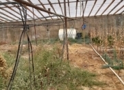 Satılır 118 sot torpaq Kürdəxanı