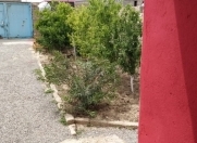 Satılır 4 otaqlı 110 m2 həyət evi Binə