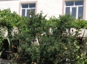 Satılır 6 otaqlı 180 m2 həyət evi Binə