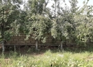 Satılır 10 sot torpaq Mehdiabad