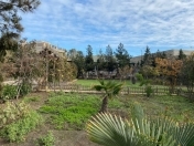 Satılır 30 sot torpaq Mərdəkan