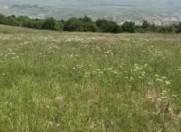 Satılır 575 sot torpaq 28 Mall