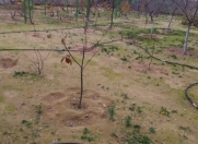 Satılır 3 sot torpaq Bilgəh