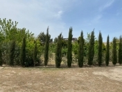 Satılır 40 sot torpaq Mərdəkan