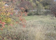 Satılır 10 sot torpaq İsmayıllı