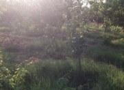 Satılır 12 sot torpaq Nəriman Nərimanov parkı