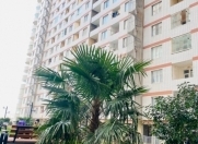 İcarəyə verilir 2 otaqlı 70 m2 yeni tikili Qələbə dairəsi