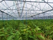 Satılır 10 otaqlı 2000 m2 obyekt Zirə