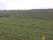 Satılır 8 sot torpaq Sumqayıt