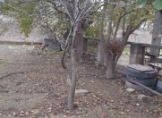 Satılır 20 sot torpaq Binə