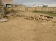 Satılır 2 sot torpaq Qala