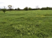 Satılır 30 sot torpaq Qəbələ