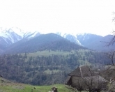 Satılır 2 otaqlı 46 m2 bağ evi Daşkəsən