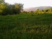 Satılır 74 sot torpaq Oğuz