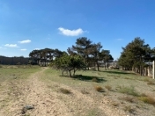 Satılır 80 sot torpaq Şüvəlan