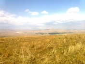 Satılır 24 sot torpaq Şamaxı