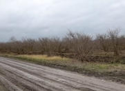 Satılır 60 sot torpaq Xaçmaz