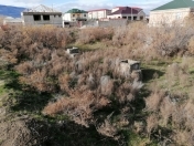 Satılır 18.02 sot torpaq Siyəzən