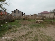 Satılır 4 sot torpaq Sumqayıt