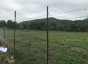 Satılır 46 sot torpaq Qəbələ