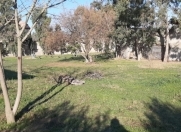 Satılır 20 sot torpaq Mərdəkan