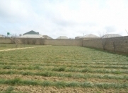 Satılır 6 sot torpaq Gəncə