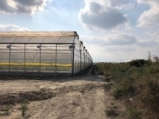 Satılır 20 otaqlı 30000 m2 obyekt Salyan