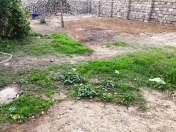 Satılır 4 sot torpaq Badamdar