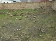 Satılır 3 sot torpaq Masazır