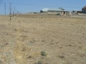 Satılır 16 sot torpaq Abşeron r.