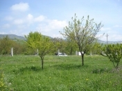 Satılır 2 otaqlı 1430 m2 obyekt Şamaxı