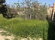 Satılır 2 otaqlı 40 m2 bağ evi Novxanı