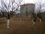 Satılır 10 sot torpaq Buzovna