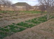 Satılır 8 sot torpaq Buzovna