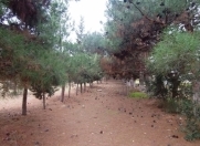 Satılır 52 sot torpaq Mərdəkan