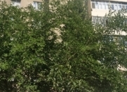 Satılır 2 otaqlı 60 m2 köhnə tikili Qara Qarayev m.