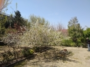 Satılır 3 otaqlı 85 m2 bağ evi Buzovna