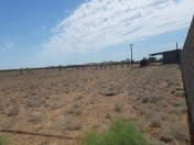 Satılır 100 sot torpaq Türkan