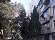 Satılır 2 otaqlı 36 m2 köhnə tikili 5 mkr