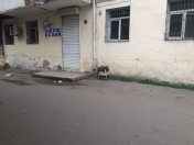 Satılır 6 otaqlı 100 m2 obyekt 8 km