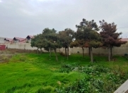 Satılır 25 sot torpaq Şağan