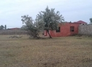 Satılır 25 sot torpaq Albalı