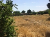 Satılır 17 sot torpaq Albalı