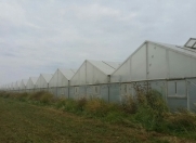 Satılır 15 otaqlı 15000 m2 obyekt Salyan