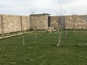 Satılır 12 sot torpaq Sumqayıt